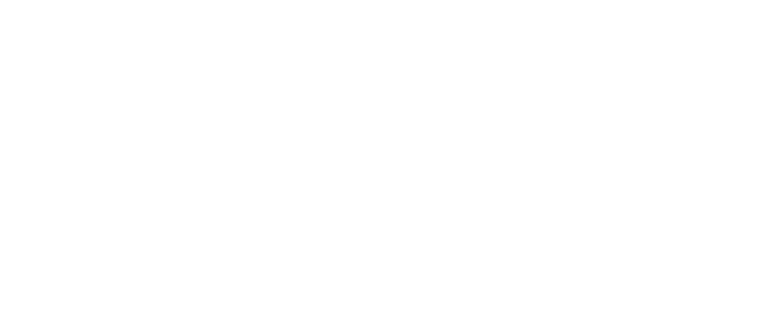 First Simulation Academy